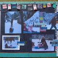 Winter Wonderland Sledding