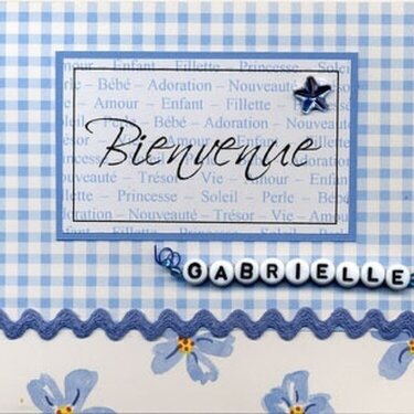 Welcome baby girl card 2