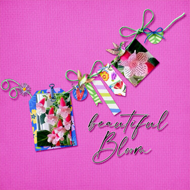 Beautiful Bloom