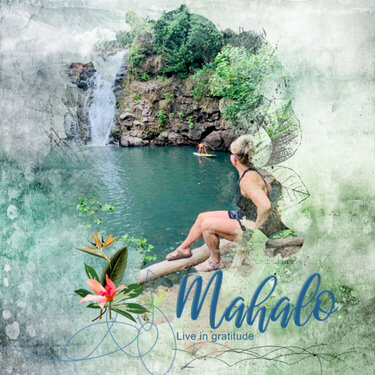 MahaloHawaii Collection by Synergy Ink https://www.digitalscrapbookingstudio.com/digital-art/bundled-deals/hawaii-by-synergy-ink