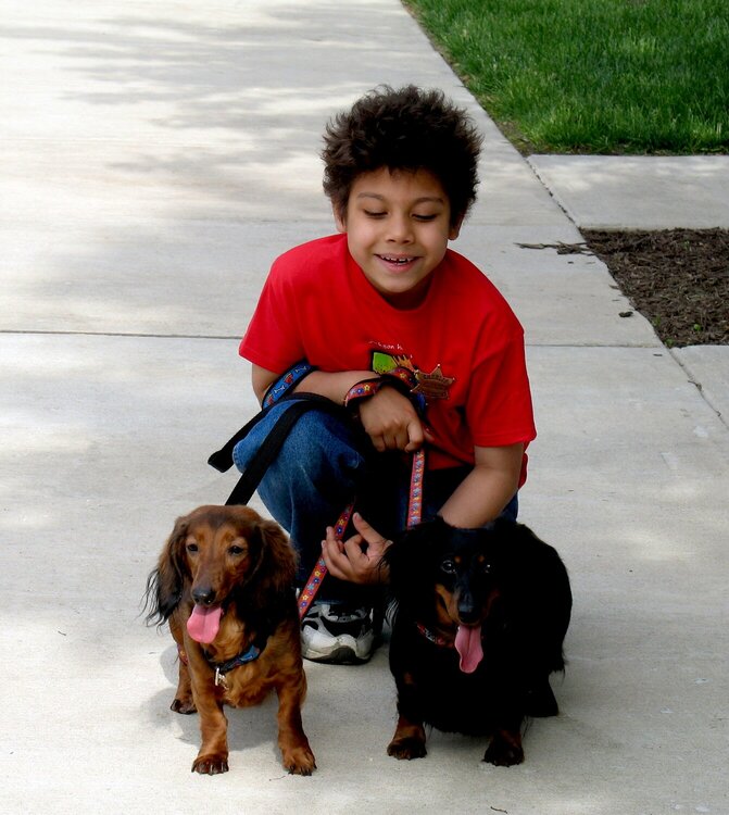My Grandson, Sebastian with my dogs, Trudy and Gracie