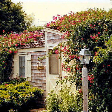 Rose covered cottage in Nantucket, Mass