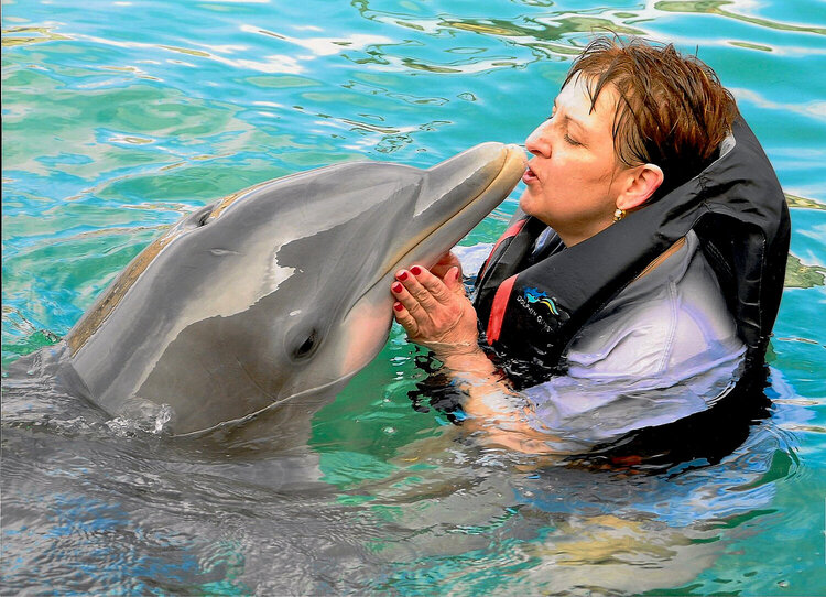 Me kissing a dolphin in Bermuda