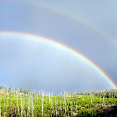 Rainbow over Yellowstone Nat. Park