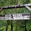 Muir Woods entrance