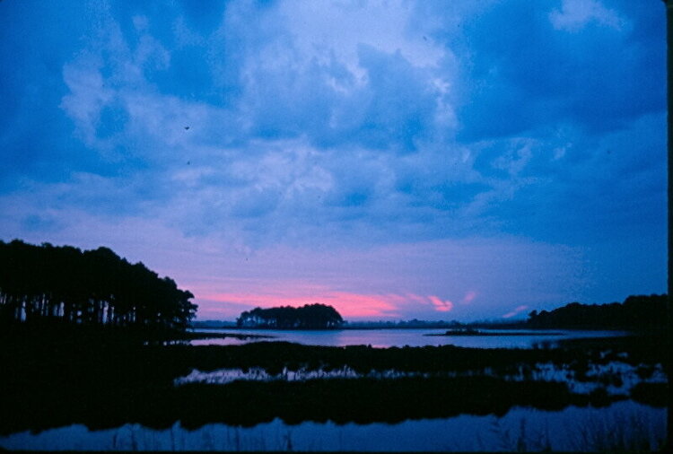 Sunrise on Chincoteague Island, Va