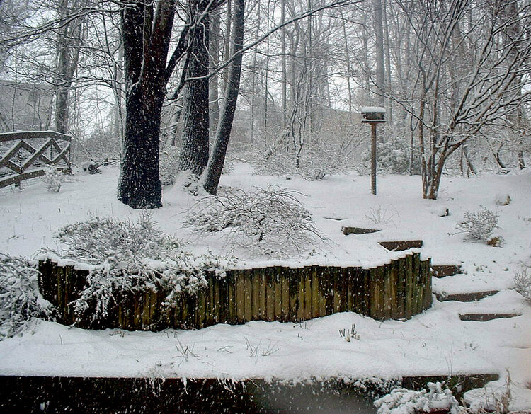 Winter snow at home in Maryland