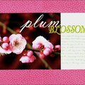 Plum Blossoms