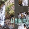 Themed Projects : El Mina Falls, El Junque Rainforest