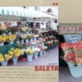 Cours Saleya