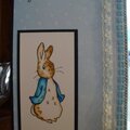 Peter Rabbit Tiny Miracle