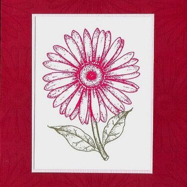 Red Gerbera Daisy Note Card