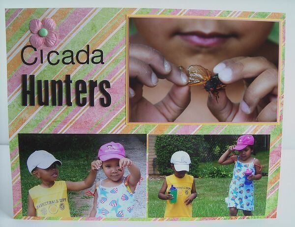 Cicada Hunters