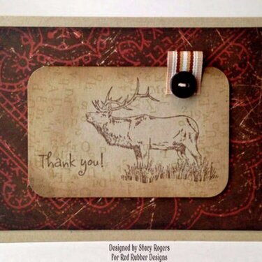 Elk Thank You Card