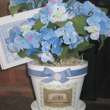 *Gift Flower Pot*