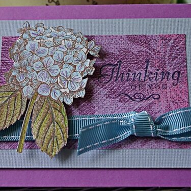 Thinking of you hydrangea - Jen McGuire&#039;s flower challenge