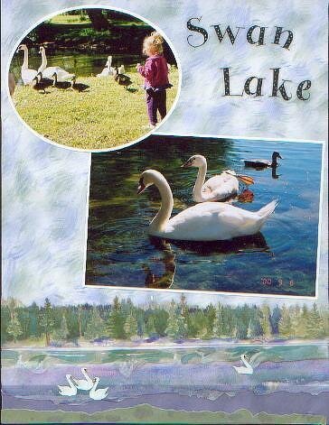 Swan Lake at Centre Island
