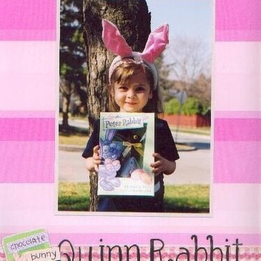 Quinn Rabbit