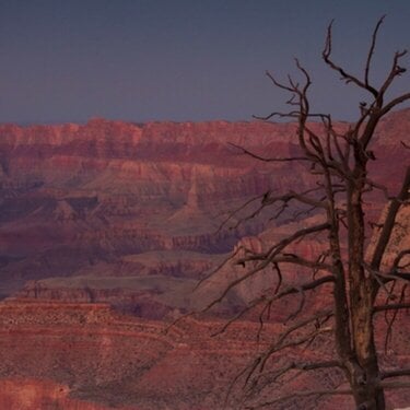 Grand Canyon sunset in pastel