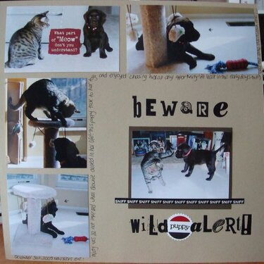 DW2008 Wild Puppy Alert!