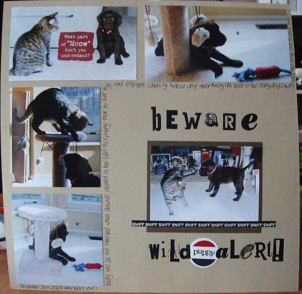 DW2008 Wild Puppy Alert!