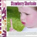 Strawberry Shortcake  *New American Crafts*