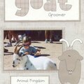 The Goat Groomer