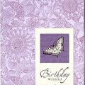 Butterfly Birthday