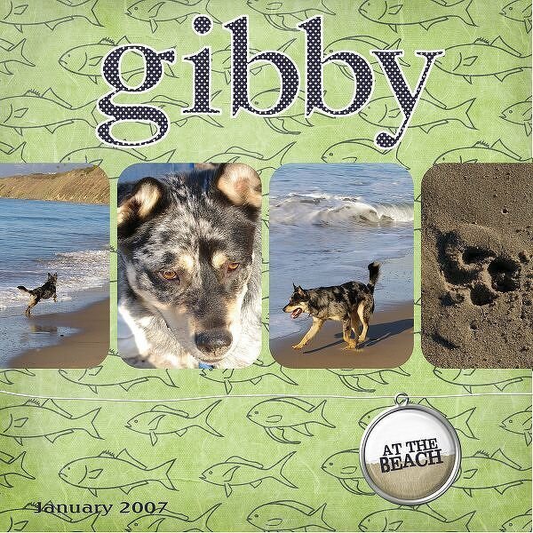 Gibby at the Beach