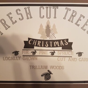 Fresh Cut Trees - Winter Wonderland