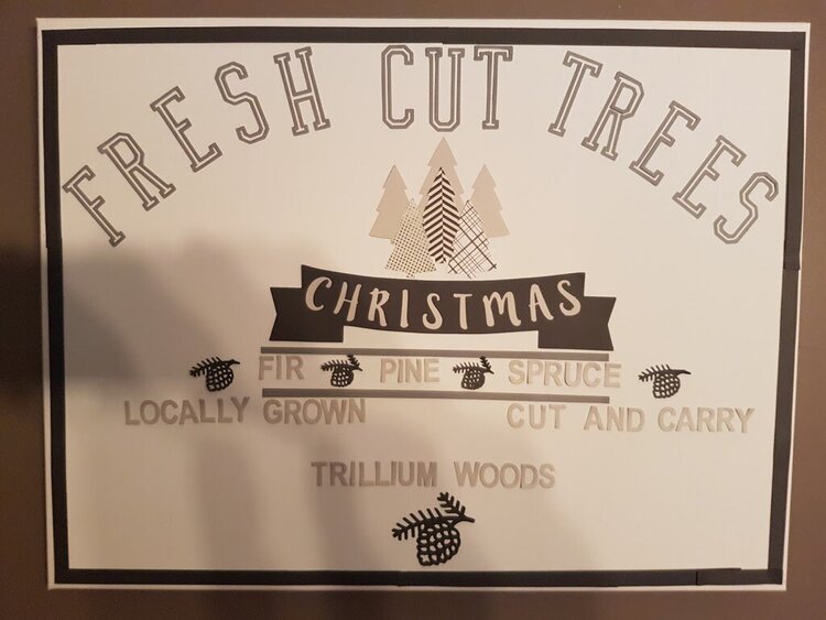 Fresh Cut Trees - Winter Wonderland