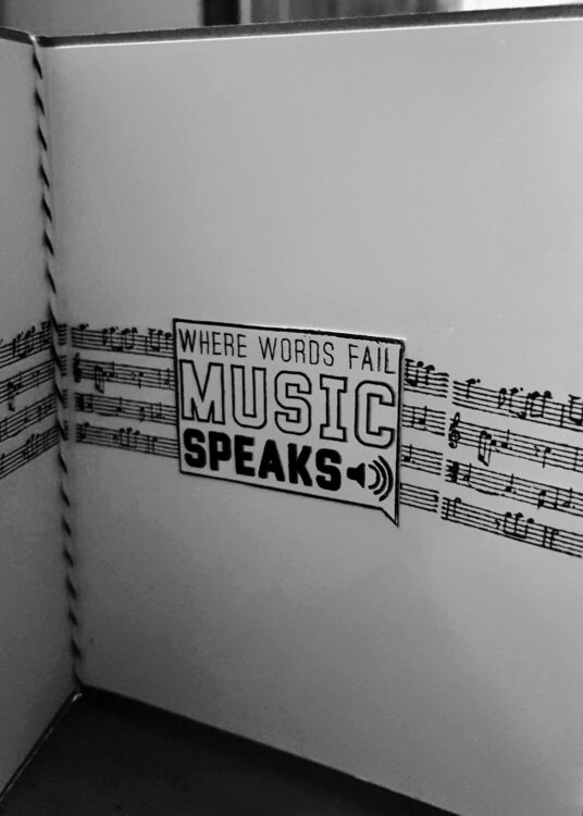 Music Speaks When Words Fail