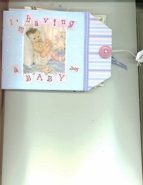 Pregnancy Book made for a friend