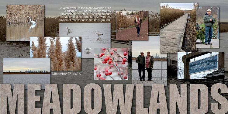 Meadowlands