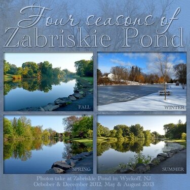 Four Seasons of Zabriskie Pond