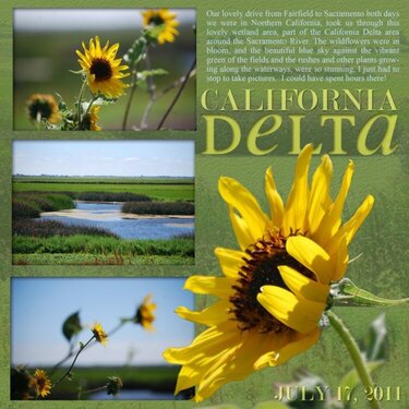 California Delta