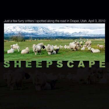 Sheepscape *Digital Clipping Mask Challenge