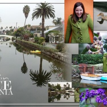 A Day in Venice, California