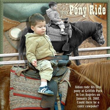 The Pony Ride