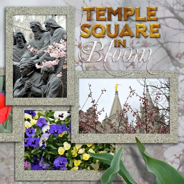 Temple Square in Bloom