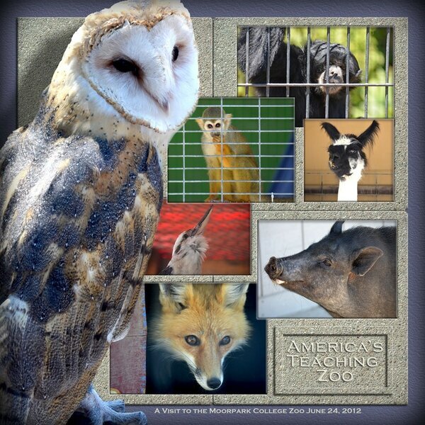 America&#039;s Teaching Zoo