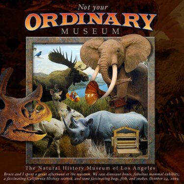 Not Your Ordinary Museum *Digital DVD Challenge