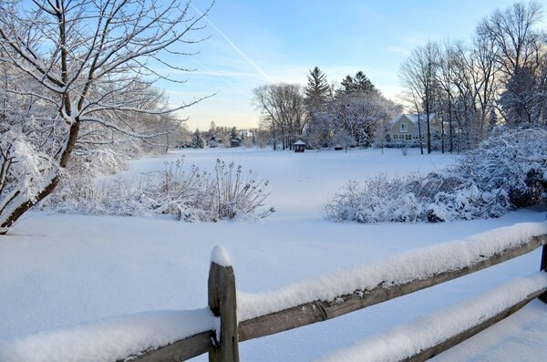 Snowy Morning