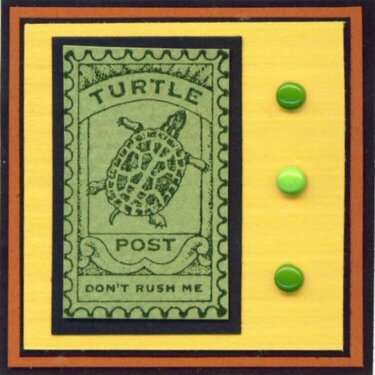 Turtle Post