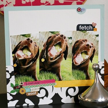 Themed Projects : Ad Inspiration: {fetch}