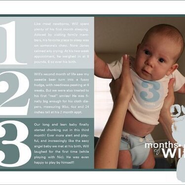 3 Months of Will (Creative Companion 2)