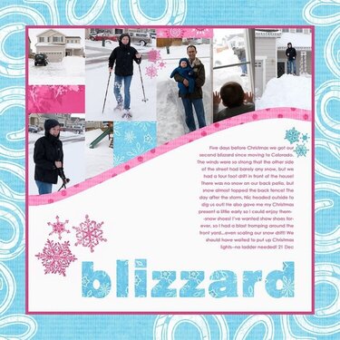 Themed Projects : 4x6 photos: Blizzard