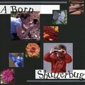 A Born Shutterbug (Repost)