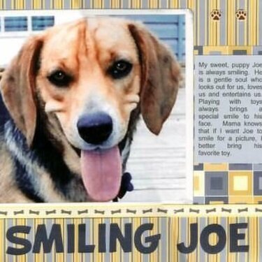 Smiling Joe