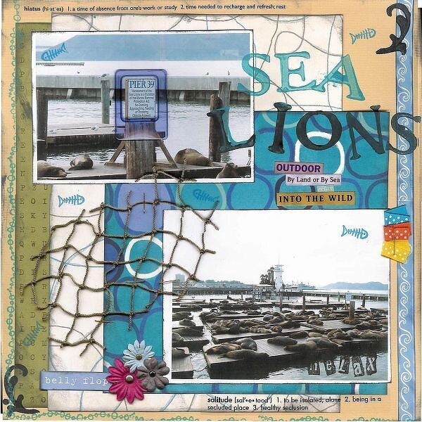 Sea Lions - Pier 39